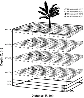 Figure 2 – Distribution of 72 Time Domain Reflectometer (TDR)  probes installed in the lysimeter in the four profiles (P 1 , P 2 , P 3  and  P 4 ).