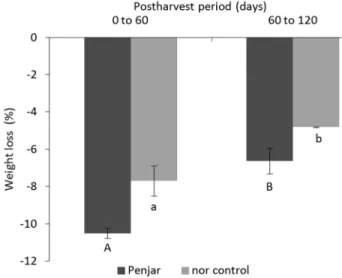 Figure 1 – External appearance, longitudinal and transversal sections  of fruits from three Penjar accessions (CDP05468, CDP01255,  CDP00235) after 4 months’ storage.