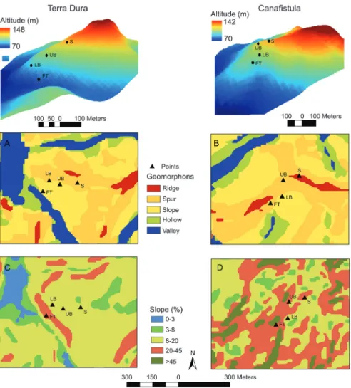 Figure 2 − Elevation, Geomorphons (A) and (B) and slope gradient (C) and (D) for Terra Dura and Canafistula Eucalyptus stands