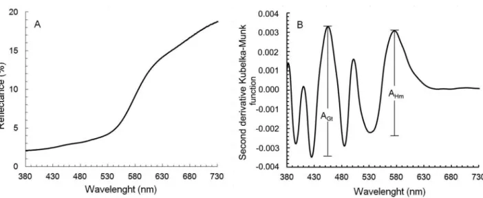 Figure 2 – Diffuse reflectance spectrum (A) and second derivative of the Kubelka–Munk function (B)