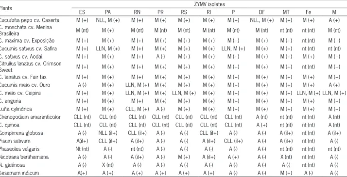 Table 1 – Host range reaction of several species mechanically inoculated with 11 Brazilian ZYMV isolates and detection of the virus by PTA-ELISA.