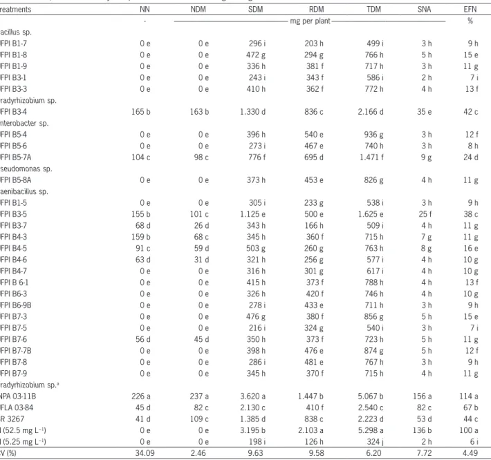 Table 4 − Effect of inoculation with strains isolated from floodplain soils on cowpea plant growth under greenhouse conditions