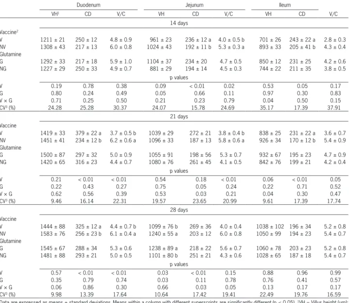 Table 4 – Morphometric analysis of the mucosa of broilers at 14, 21 and 28 days.