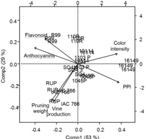 Figure 5 − Principal components analysis for phenolic composition  and color traits of winter wine, and pruning weight and vine  production of Syrah grafted onto different rootstock in 2012