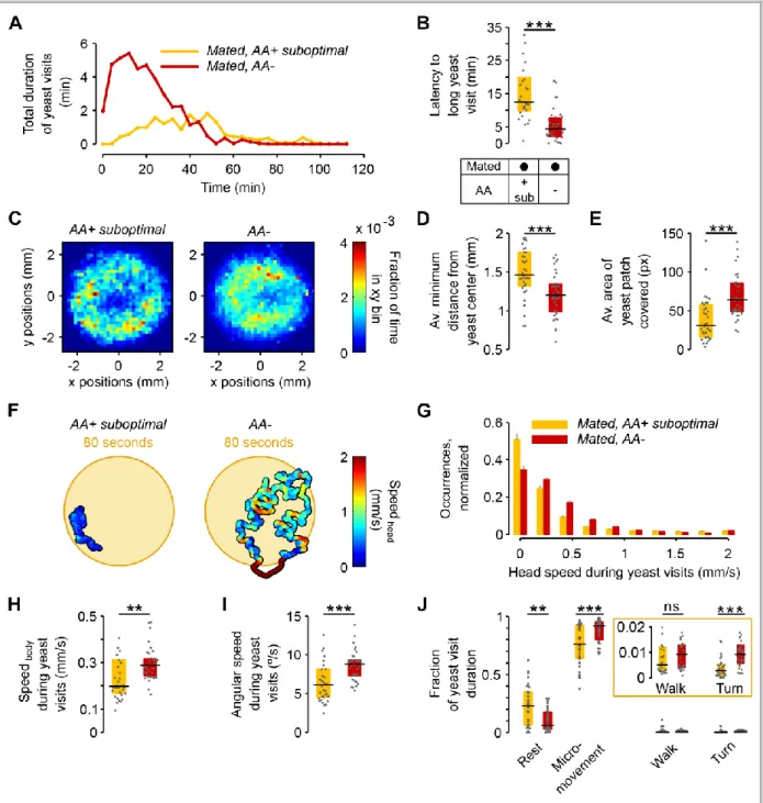 Figure 2.4 – The lack of dietary AAs increases exploitation and local exploration of yeast patches  (A) Rolling median of the total duration of yeast visits using a 5 minute window and a step of 4 minutes for flies  pre-fed a suboptimal diet (yellow) and A