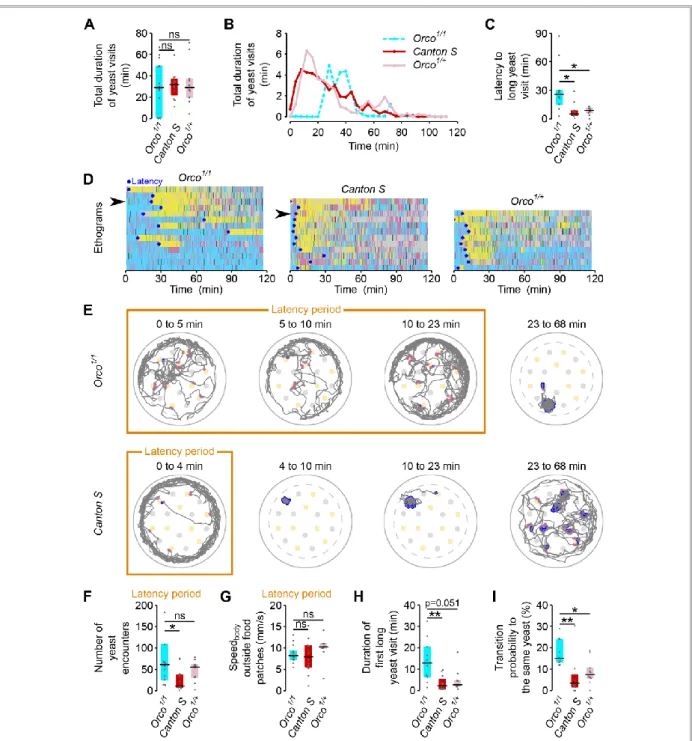 Figure 2.7 – ORs mediate efficient recognition of yeast as an appropriate food source 