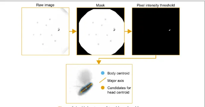 Figure 3.3A displays the main sequence of steps in this algorithm: first, high-contrast circular shapes  are automatically detected using the circular Hough transform (built-in MATLAB function imfindcircles),  then,  the  geometry  template  is  superimpos