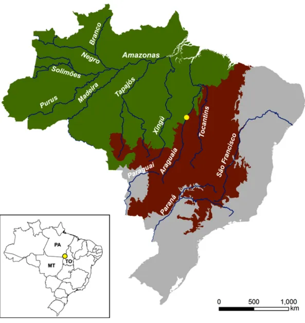 Figure  1.1  –  Location  of  the  study  area  (yellow  dot)  within  the  context  of  Amazonia  (green)  and  Cerrado (brown) biomes, and Brazilian federal units: MT – sate of Mato Grosso; PA – state of Pará; 