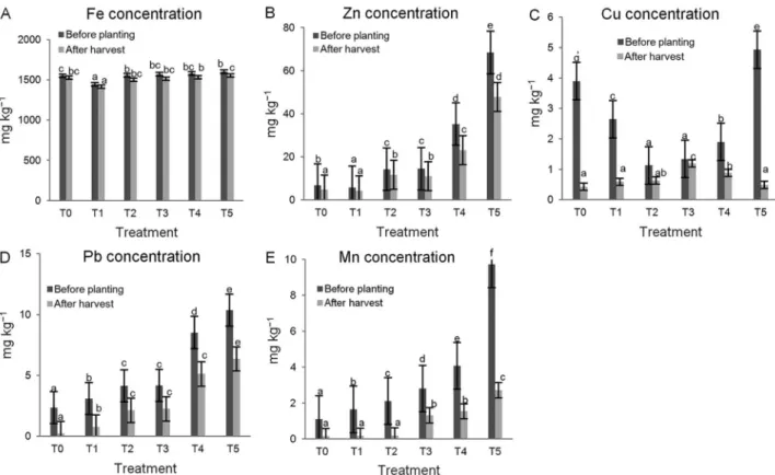 Figure 1 − Concentrations of Fe (A), Zn (B), Cu (C), Pb (D) and Mn (E) in growth medium before planting and after harvesting