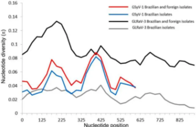 Table 3 − Selection analysis for coat protein genes of Brazilian isolates of Grapevine Syrah virus 1 (GSyV-1) and Grapevine leafroll-associated  virus 3 (GLRaV-3)