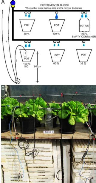 Figure 1 − Performed experiment: example of one experimental  block (A) and photograph of block 4 on experimental site  (B)