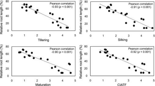Figure 3 – Correlation of the relative root length (RRL), based on root growth after six days in a short-term soil experiment, with the wheat tolerance  to acid soil under field conditions