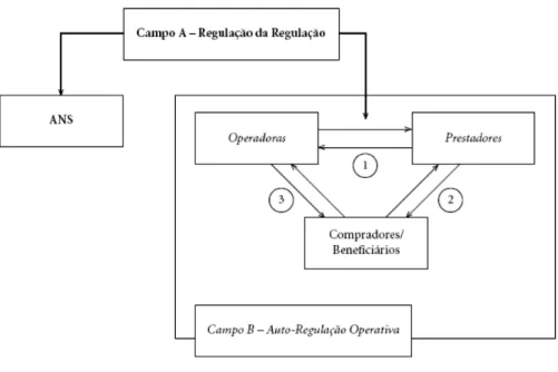 Figura 1: A regulação da ANS