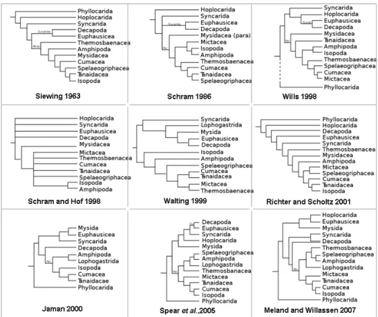 Figure 1.8: Malacostraca phylogenetic trees proposed by different studies. The first six trees were  based on morphological characters whereas the last three were obtained with molecular data (adapted  from Spears (Jarman et al., 2000; Meland and Willassen