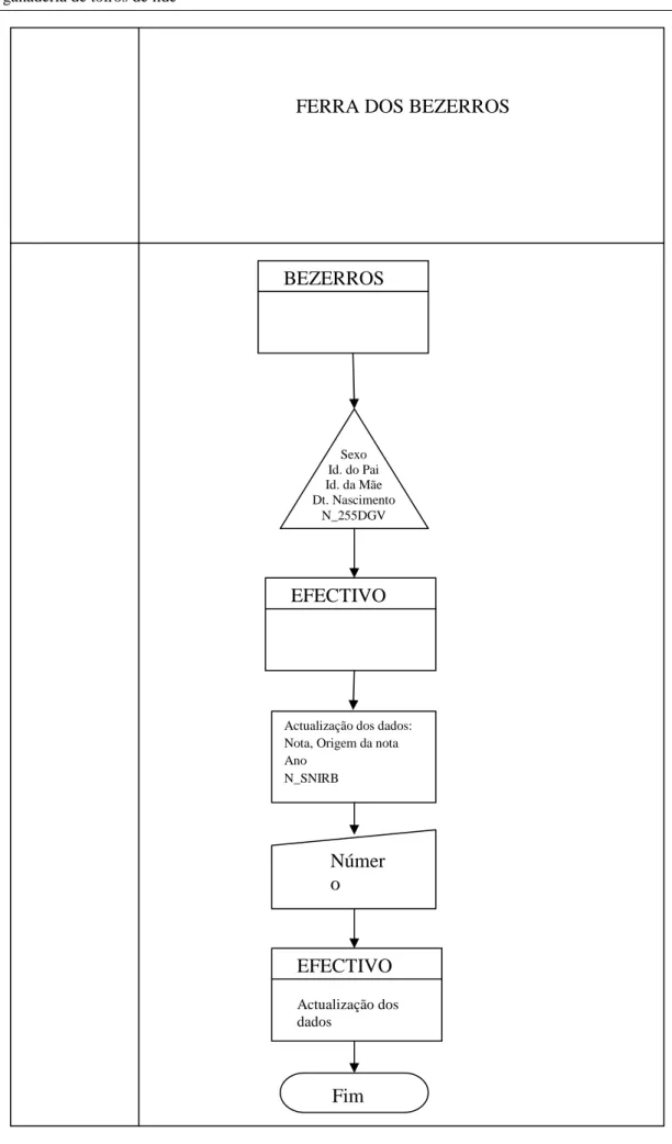 Fig. 2 – Diagrama do fluxo de dados para o procedimento da Ferra dos Bezerros FERRA DOS BEZERROS 