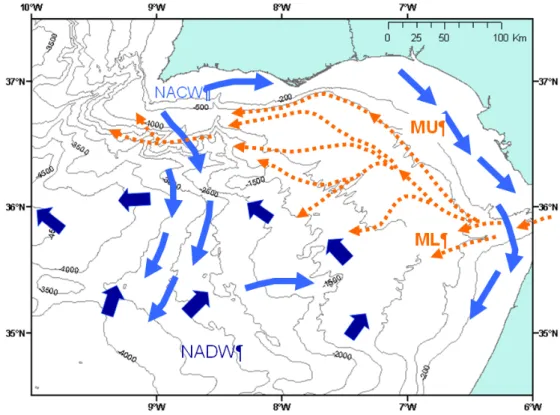 Figure 3 - General circulation patterns in the Gulf of Cadiz (adapted from Hernández-Molina et al.,  2006)