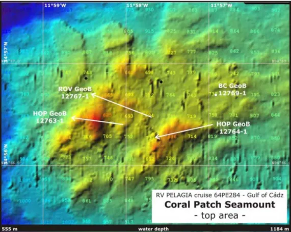 Figure 7 – The study area in the Coral Patch Seamount. From (Hebbeln 2008). 