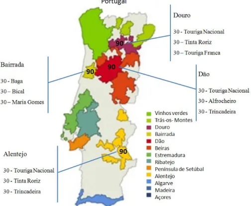 Figure 8. Number of yeast isolates from cellar fermentations in Portuguese wine appellation