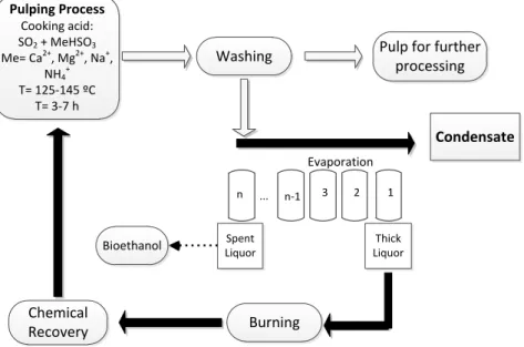 Figure 2.5. General block-scheme of acidic sulphite wood pulping process with the SSL release