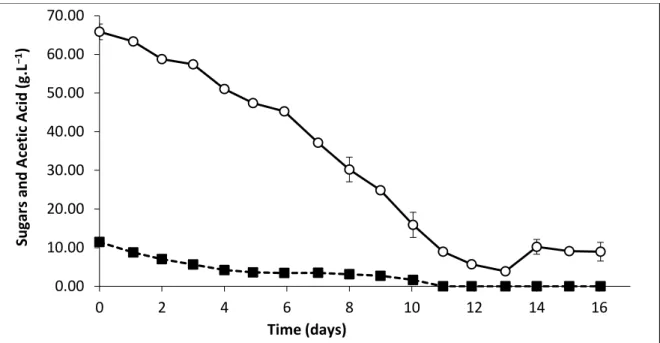 Figure 3.1. Fermentation of HSSL by P. variotii during 16 days: reducing sugars (  ) and acetic acid (  )