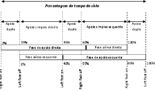 Figura 1 – Fases e percentagem de duração das fases da marcha.  