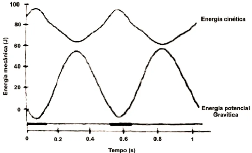 Figura 8 - Flutuações cinéticas e potenciais gravíticas do centro de massa durante a marcha a uma  velocidade de 1,25 m/s (adaptado de Farley &amp; Ferris, 1998)