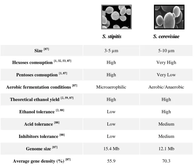Table 5 – Comparative analysis of the main characteristics of S. stipitis and S. cerevisiae
