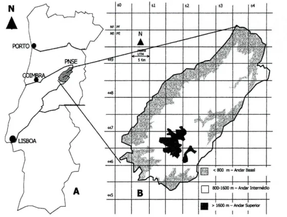 Figura 3.1 Localização do Parque Natural da Serra da Estrela no território de  Portugal Continental (A) e zonação altitudinal da vegetação, conforme descrição  de  SILVA  &amp;  TELES  (1986), relativamente ao sistema de coordenadas UTM (B)