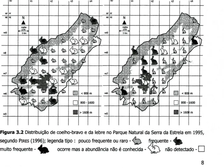 Figura 3.2 Distribuição de coelho-bravo e da lebre no Parque Natural da Serra da Estrela em 1995,  segundo  PIRES  (1996); legenda tipo : pouco frequente ou raro -   &lt; ^ )  frequente - éfà, 