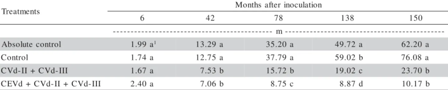 Table 5 - Canopy volume of ‘Marsh Seedless’ grapefruit on trifoliate orange inoculated with viroids at different ages.