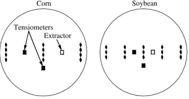 Figure 1 - Schematic representation of the planting positions of corn (with four seeds in each position) and soybean (three seeds per position) and the locations of tensiometers and soil solution extractor.