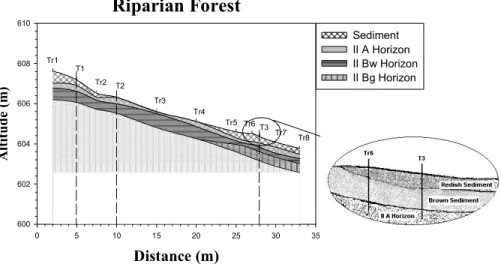 Figure 1 - Sediment and soil spatial distribution in the riparian zone transect. T = pit location, Tr = auger sampling points.
