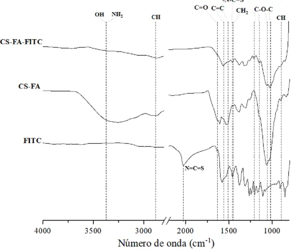 Figura 28 - Espetros de FTIR-ATR do FITC, do conjugado CS-FA e do CS-FA-FITC. 