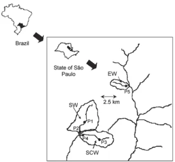 Figure 1 - Map of the savanna (SW - P1 and P2), sugar cane (SCW - P3 and P4) and eucalyptus (EW - P5) watershed indicating the sampling stations.