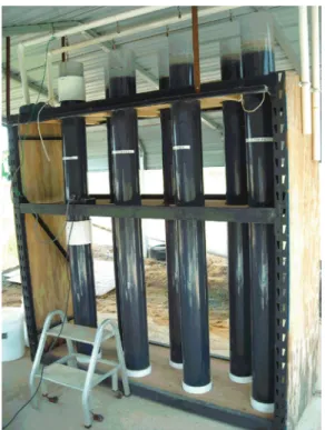 Figure 1 − Meso-scale lagoon column set-up supported with a metal  rack. All sides of the metal rack were covered with plywood to  maintain the liquid-sludge columns in the dark except for the  topmost 0.3 m of each column, which was exposed to natural  li
