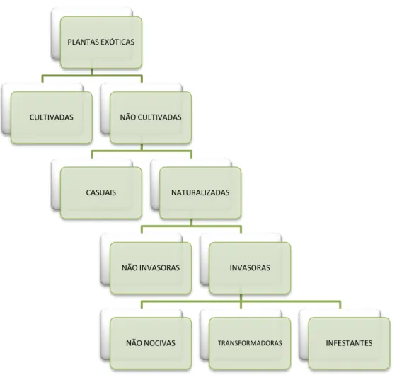 Figura 1 Esquema hierárquico de classificação das plantas exóticas (adaptado de Pyšek et al.,2004)