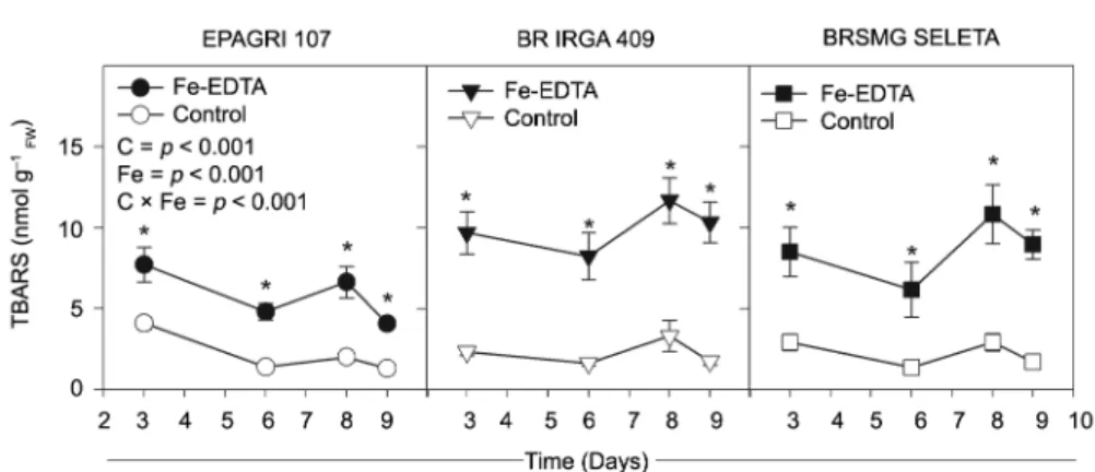 Figure 4 − The thiobarbituric acid-reacting substances (TBARS) concentration of three rice cultivars over the time of exposure to 7 mM Fe-EDTA  (closed symbols) or control (open symbols) treatments in a nutrient solution