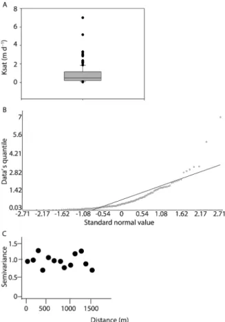 Figure 4 − Box plot (A), Q – Q plot (B), and the empirical variogram of  Ksat non-transformed at the Marcela Creek Watershed.