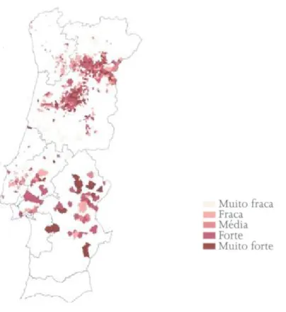 Figura 4 - Distribuição da casta Touriga Nacional pelas regiões vitícolas nacionais de Portugal continental  Böhm (2007)