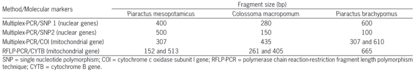 Table 1 − Method, gene and sizes of the polymerase chain reaction PCR products or restriction fragments.