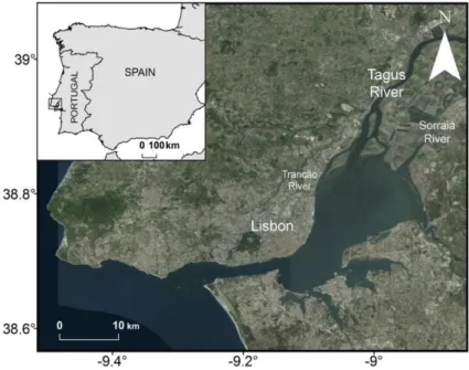 Figure 1: Tagus estuary with the location of the main city (Lisbon) and the main rivers (Tagus, Sorraia  and Trancão)