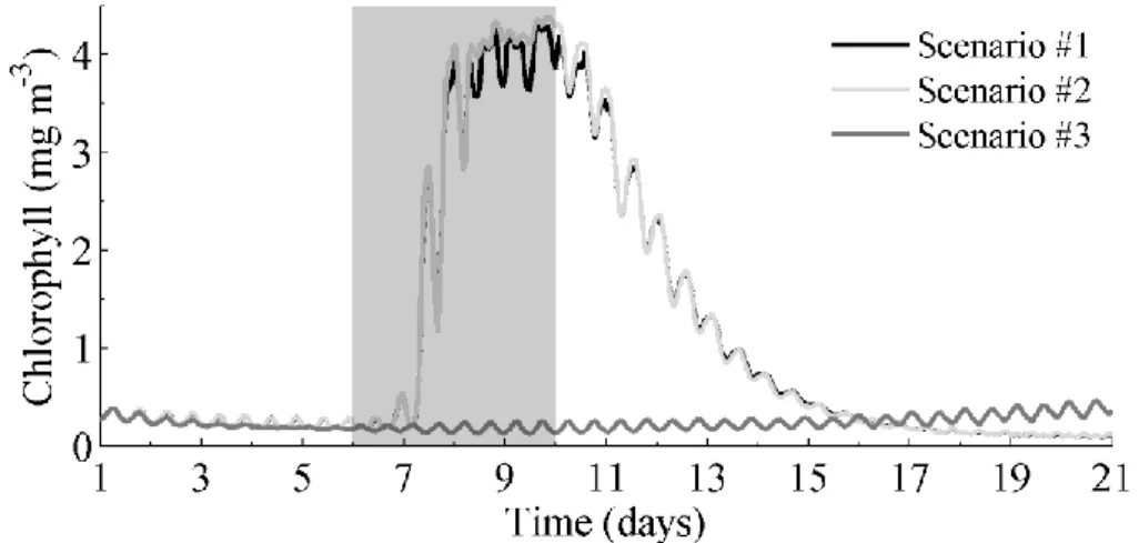 Figure 6: Mean time series of Chl-a concentration for the Scenarios #1, #2 and #3 (mg m -3 )