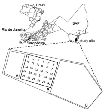Figure 1 − The study site with vegetable production area (A), the  plot layout with regular grid (B), biomass production area (C); 