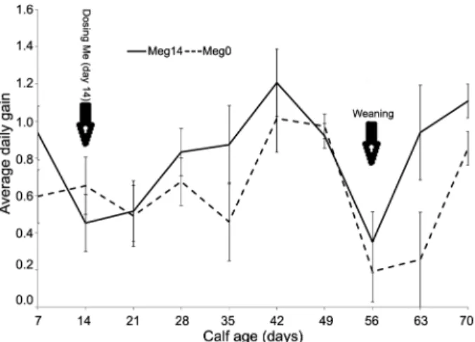 Figure 3 − Average daily gain (± SE) (kg d –1 ) over period for calves  dosed (Meg14) or not (Meg0) with M