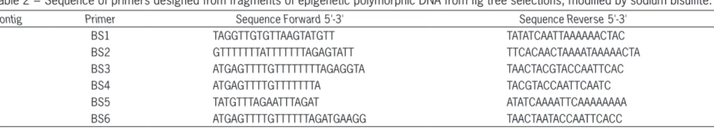 Table 2 − Sequence of primers designed from fragments of epigenetic polymorphic DNA from fig tree selections, modified by sodium bisulfite.