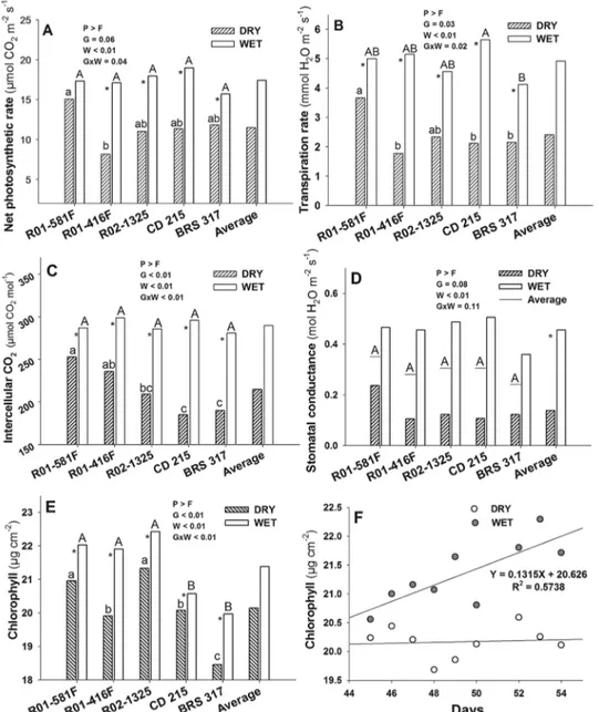 Figure 2 − Net photosynthetic (A) and transpiration (B) rates, intercellular CO 2  concentration (C), stomatal conductance (D) and chlorophyll  concentrations (E) (measured at 54 th  day), and chlorophyll concentration during the stress period (F) in soybe