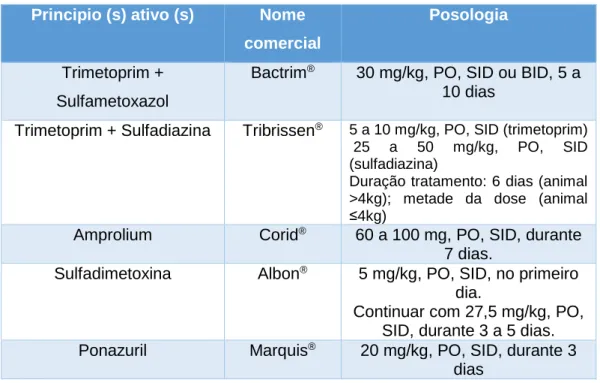 Tabela  1  –  Anti-protozoários  mais  frequentes  utilizados  no  tratamento  de  infeções  por  Cystoisospora rivolta e Cystoisospora felis