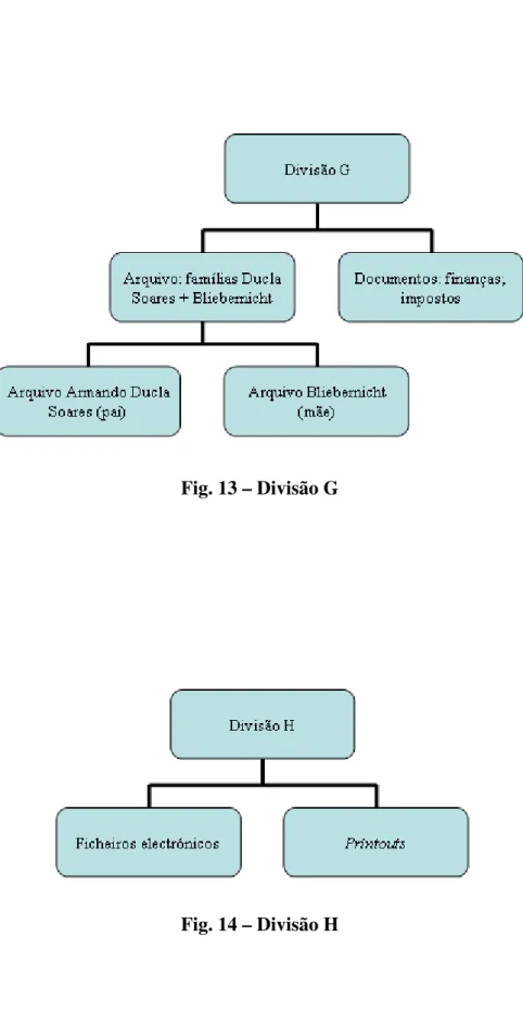 Fig. 12 – Divisão F 