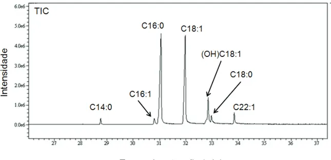 Figura 3 - Cromatograma de íons totais da fração 3. C14:0 (ácido mirístico); C16:1 (ácido palmitoleico); C16:0 (ácido palmítico);