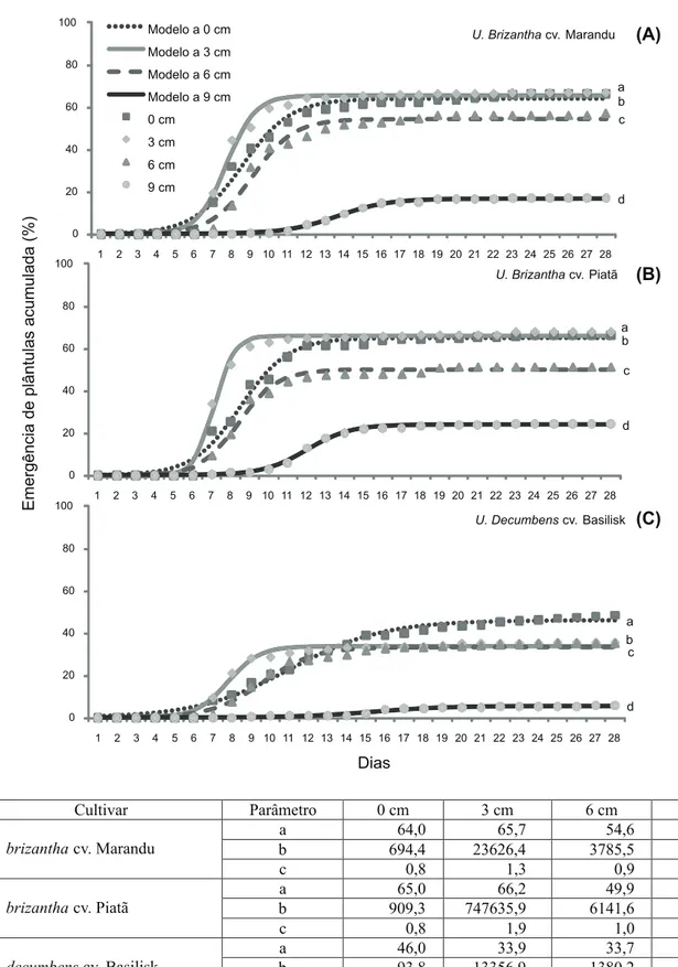 Figura 2 - Curva de porcentagem de emergência diária acumulada de plântulas de Urochloa brizantha cv